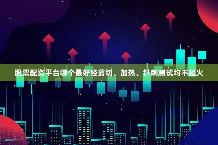 股票配资平台哪个最好经剪切、加热、针刺测试均不起火
