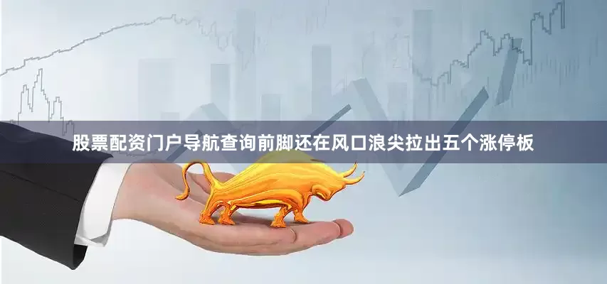股票配资门户导航查询前脚还在风口浪尖拉出五个涨停板