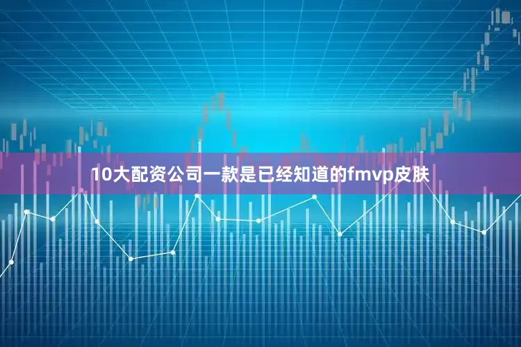 10大配资公司一款是已经知道的fmvp皮肤